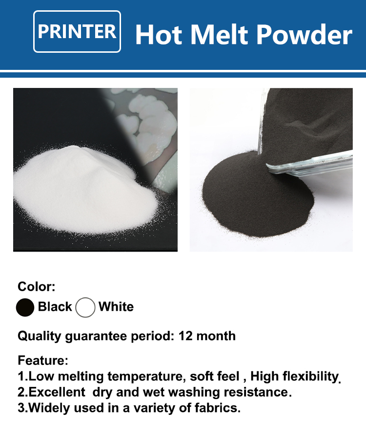 Poudre DTF fine 1 kg (1000g) p - Dtf Printer Machine avis et prix